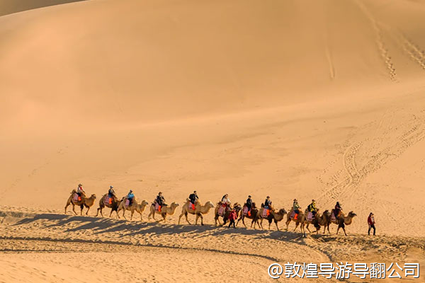 我们几个朋友想租几辆自行车,骑行去莫高窟或者周边景点,可行吗?有专门的自行车道吗?