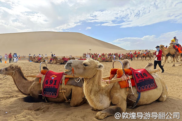 我们是退休老人，时间自由，想避开暑假高峰期，九月去敦煌合适吗？天气怎么样？想找一个能提供轮椅服务的旅行社或者地接，老人腿脚不太方便。