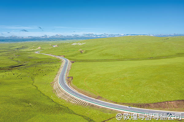 我们有几个家庭想一起定制一个敦煌+青海湖的线路，从敦煌进，西宁出，大概七八天，需要安排车和住宿，有没有旅行社可以做这种跨省定制？