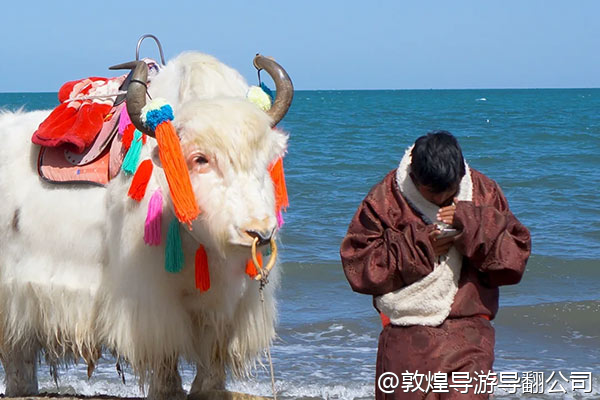 情侣想去敦煌过一个特别的生日,有没有那种可以在沙漠里布置生日晚餐,或者提供私人定制蛋糕和香槟的服务?