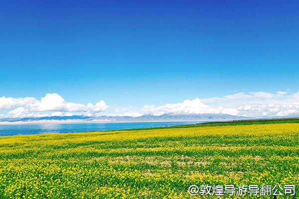 我们几个同学想暑假去敦煌穷游，从兰州坐火车去，有没有那种很便宜的青年旅舍推荐？然后我们自己做攻略，不请导游，可行吗？