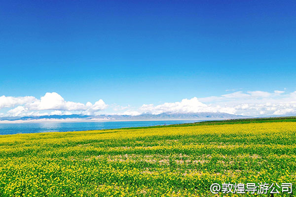带刚高考完的孩子去敦煌,作为他的毕业旅行,想要有一点仪式感,比如在沙漠里开一个小型的毕业庆祝派对,有人组织吗?