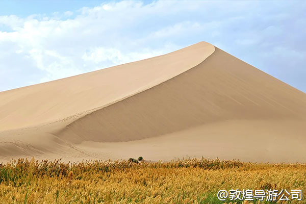 打算一个人去敦煌发呆,想找一个可以看书的咖啡馆或者民宿,待上一下午,有推荐吗?